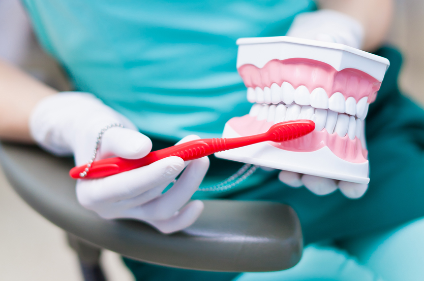 Dentist showing how to brush teeth